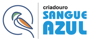 Criadouro Sangue Azul Curió Clássico - Limeira/SP
